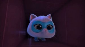 Don’t You Fear | Song | SuperKitties