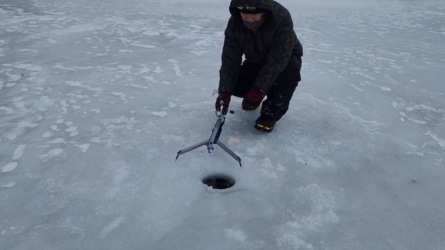 Ice Fishing January 2023 - Carolina Rigs patok panghuli ng Stock Trout смотреть онлайн