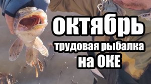 На крючке был трофей. Спиннинг в черте города. Середина октября!