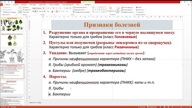ППП Агрономия 2024-10-17_1