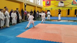 Ката Тайкиёку шодан. Баскаков Александр.