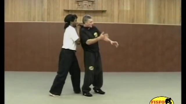 №1 введение #FISFO #Pencak_Silat #Charles_Joussot Systems
