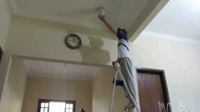 EDIÇÃO DORGAS - DOG MAL ENQUADRADO смотреть онлайн