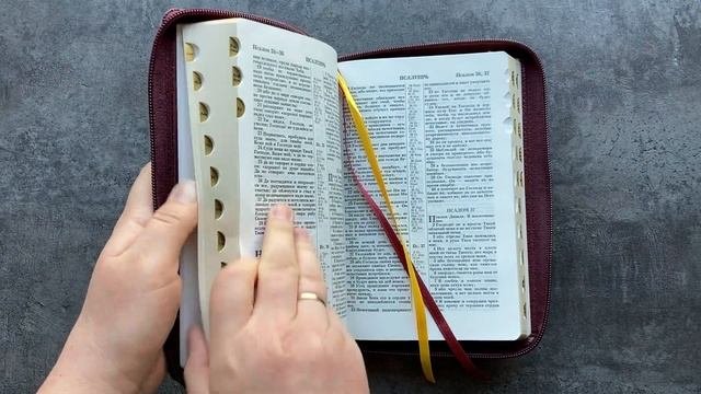 Библия (14х20,2см, натуральная кожа, бордо пятнистый, Золотой орёл)
