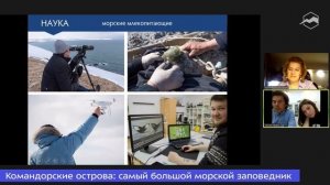 Командорские острова: самый большой морской заповедник