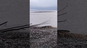 осенние денёчки перед долгой зимой на Охотском море