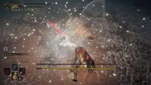 Elden Ring Мечница-нокс Монах-нокс (85)