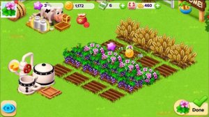 Family Farm Seaside, Gameplay
