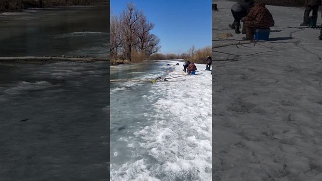 1 апреля 2023 г. смотреть онлайн