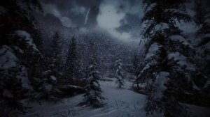 Белый шум  и Метель и звуки зимнего леса для сна и борьбы с бессонницей