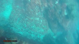 Форос пляж санатория Южный снорклинг в бухте, мыс Корниловакрабы огромный корнерот окуньЯлта Крым