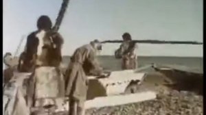 Пегий пес, бегущий краем моря