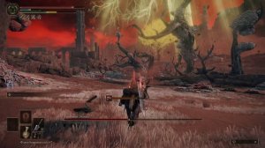 Elden Ring Гниющий Экзикес (77)