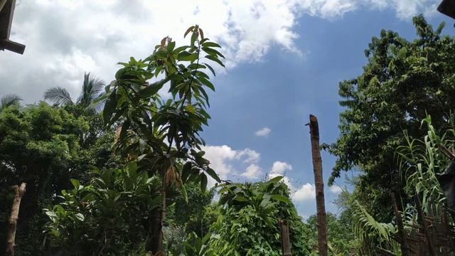 Redmi Note 7 Pro Time Laps cloud moving video | Full HD | Awesome camera смотреть онлайн