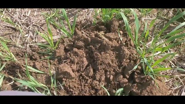 Metal Detecting with the XP DEUS.....A BUCKET LISTER смотреть онлайн