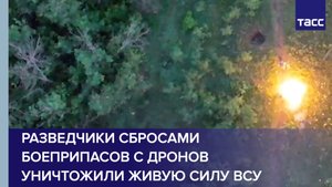 Разведчики сбросами боеприпасов с дронов уничтожили живую силу ВСУ в Харьковской области