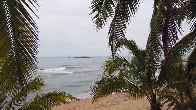 China Хайнань. Парк Край света | DJI Osmo Pocket | Cinematic footage смотреть онлайн