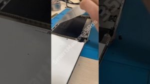 Замена Тачскрина и Матрицы: iPad Mini 2 32GB Silver