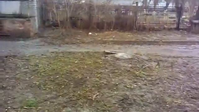 Луганск. Храм иконы Божией Матери "Взыскание погибших" после смотреть онлайн