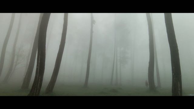 Kabut November - HDR HLG Version / Motioncam Pro / LG V50 смотреть онлайн