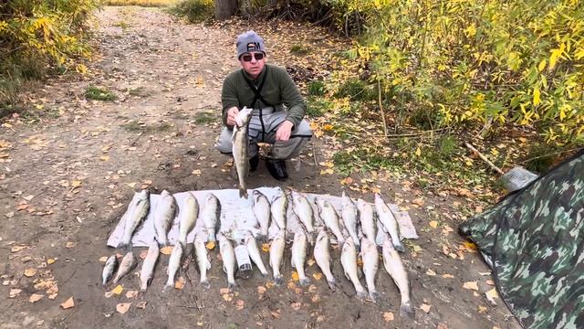 1 октября 2023 г. смотреть онлайн