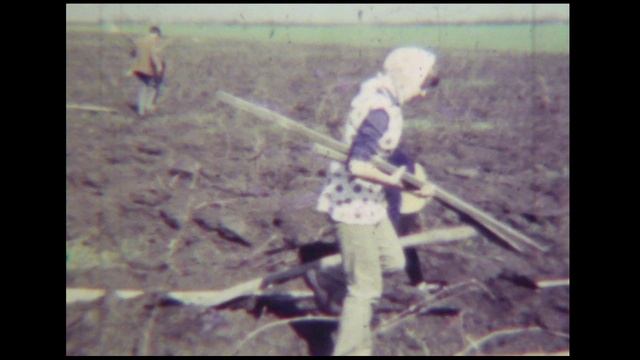 Школа на сельхоз работе 1977 г 8мм