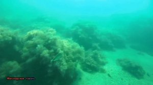 Дайвинг в Крыму, лечебный пляж санатория Днепр пляж санаторий Родина Гаспра Большая Ялта Крым море