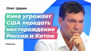 Царев: на Западе будут "сушить" тему Украины