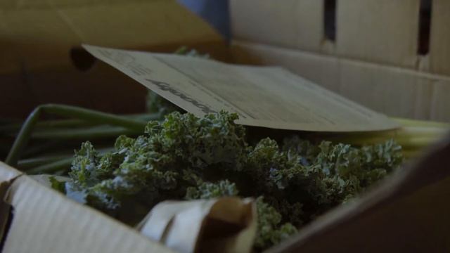 Urban Farming with Pocket City Farm