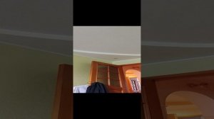 🐶2 часть вкуснова пирожка тимоха2) 🥖