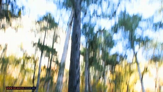 Ялта ущелье Уч-Кош, родники, грот любви (Секотлан-Коба), шикарные виды, каньон, Плаки-Кая, Крым