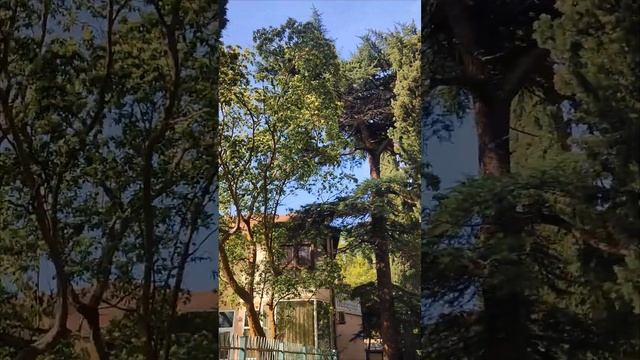 Ялта Спартак улица Пушкинская пешеходная Крым