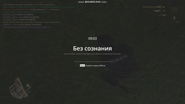 Гриб