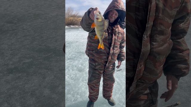 10 апреля 2023 г. смотреть онлайн