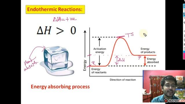Chemical Equilibrium -1(Bengali Version) Class 11 / NEET / JEE Mains