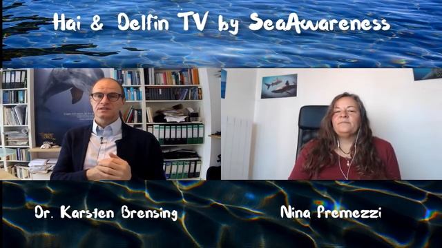 Hai & DelfinTV Dr. Karsten Brensing