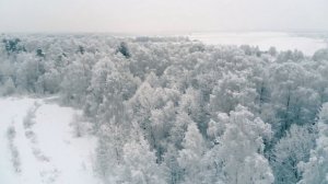 Сказочная зимняя природа в Подмосковье. Winter