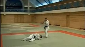 #2 Защита от ударов руками и ногами brazilian jiu-jitsu techniques джиу джитсу приемы на улице