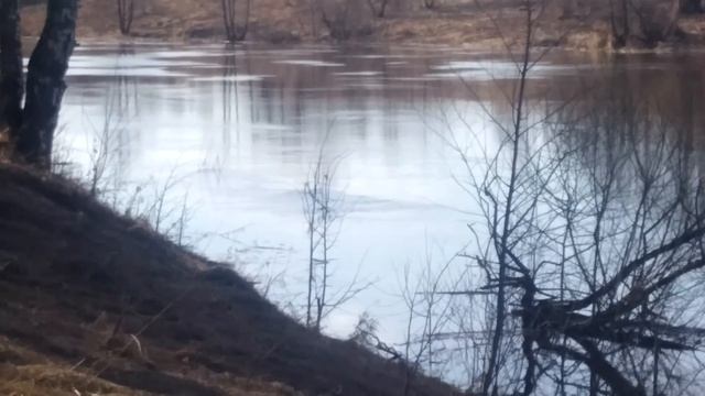 Река Которосль, Лучшее место для рыбалки! Почти....