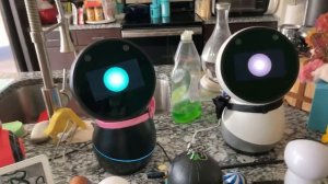 Jibo & Friends - Saturday Livestream (Secret Agent Robot)