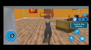 Virtual Cat Home Adventure Family pet Gameplay Video 🐈