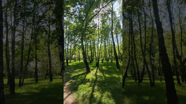 Москва парк Коломенское является частью  историко-архитектурного и природно музея-заповедника