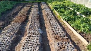 Наступил такой период.Фикс Прайс новогоднее