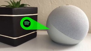 Alexa NO REPRODUCE la Canción que le PIDO