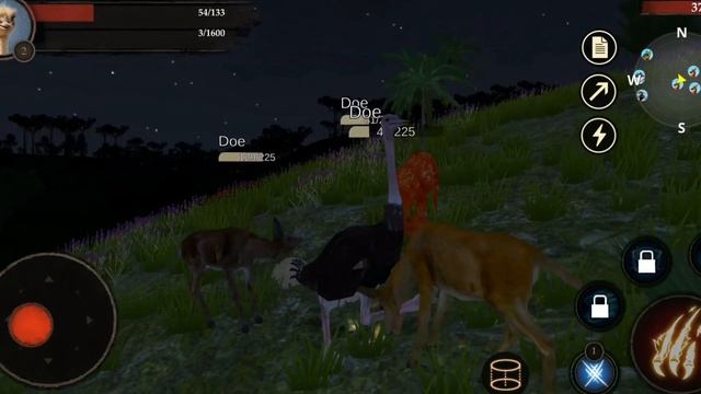 Best Dinomania Games - The Ostrich Simulator Android Gameplay HD - смотреть онлайн