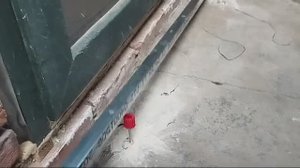 Видео-отзывы наших клиентов