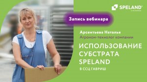 Использование субстрата SPELAND в ССЦ ГАВРИШ