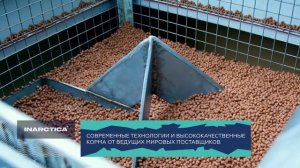 Производство INARCTICA