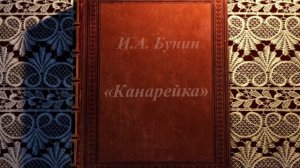 «Канарейка». Гребенскова Полина 5 лет, МБДОУ №223 г. Ижевск