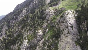 Небесная птица | Христианская поэзия.mp4